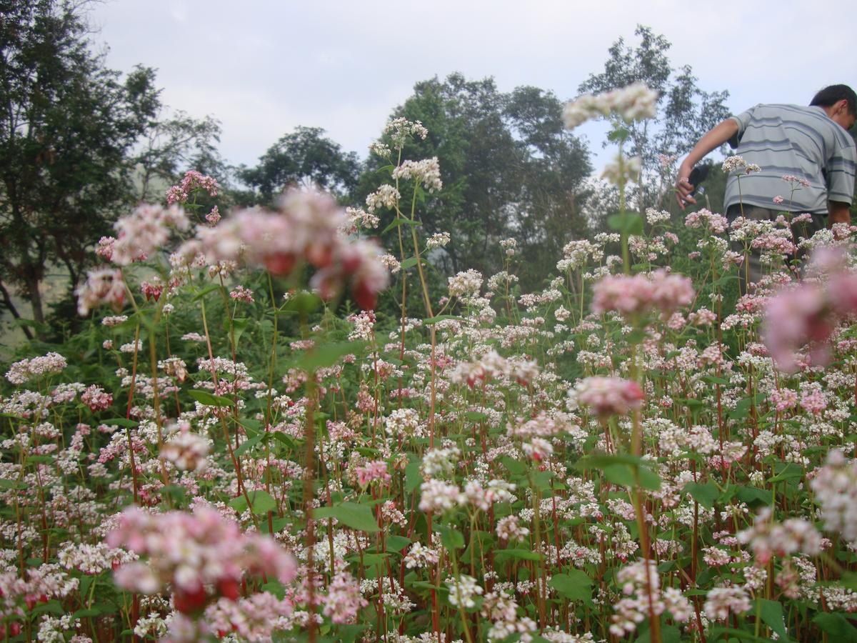 Binh Minh Hostel ส่งวัน ภายนอก รูปภาพ